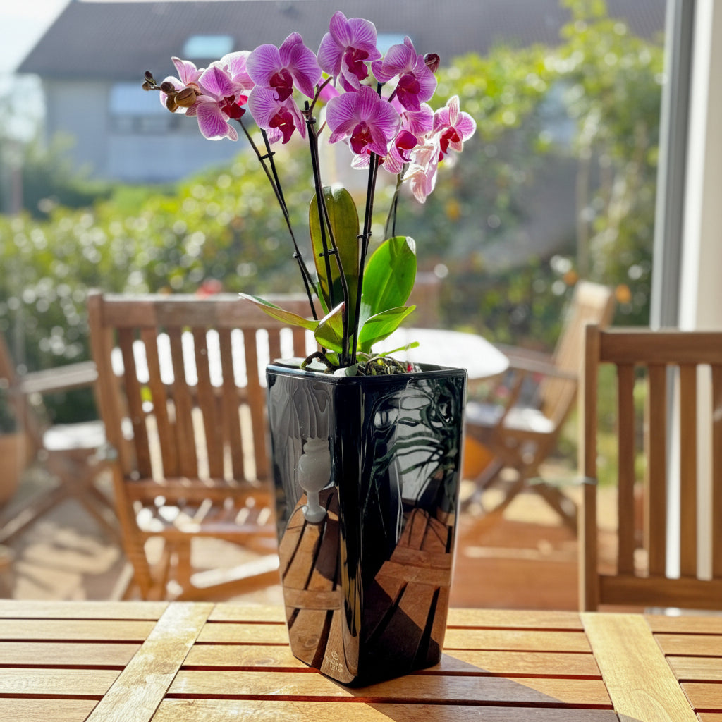 Quadrato 34 cm - Lækker plantekrukke med selvvanding