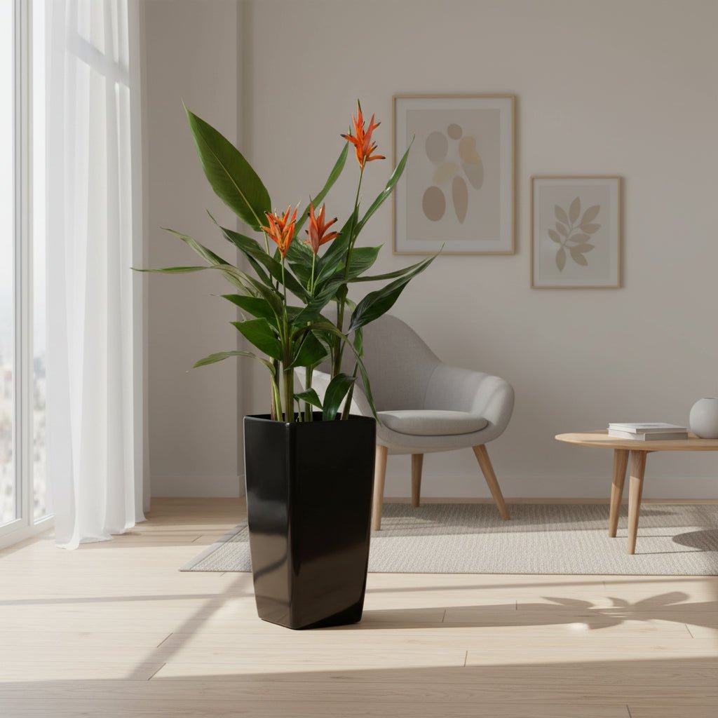 Quadrato 34 cm - Lækker plantekrukke med selvvanding