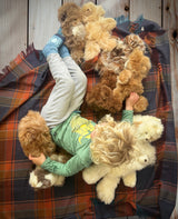 Alpaca Bear