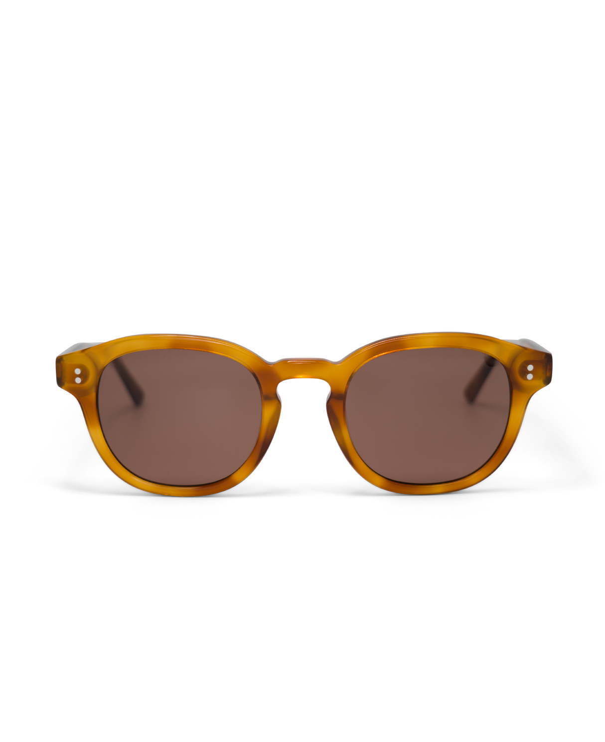 BILLE Brown Havana - Solbrille