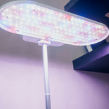 EcoSprout36 – App-Styret Smart Køkkenhave
