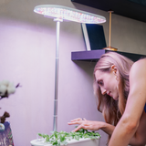EcoSprout36 – App-Styret Smart Køkkenhave