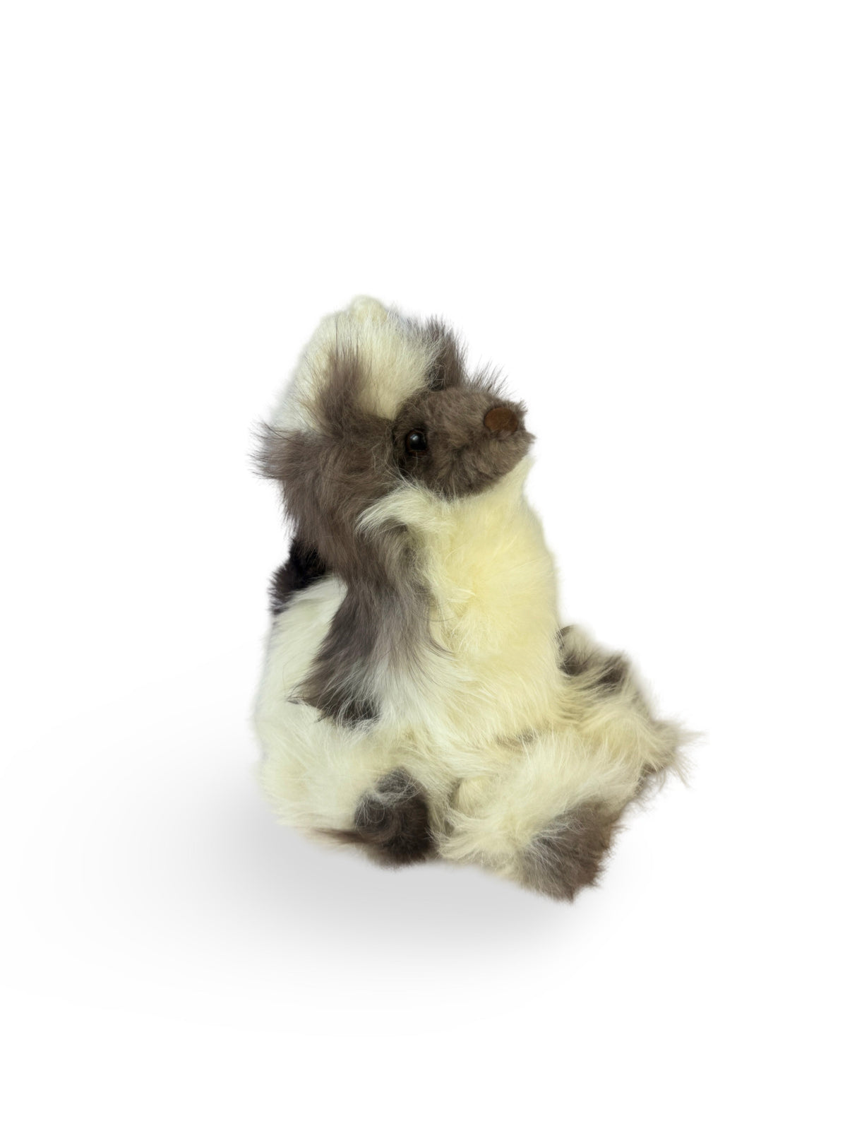 Baby Alpaca