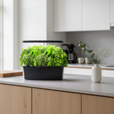 EcoSprout27 - Smart Indendørs Køkkenhave