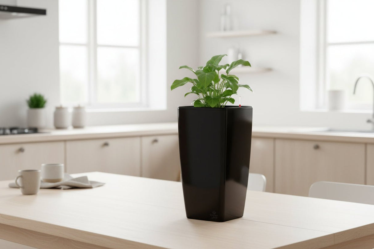 Quadrato  34 cm - Lækker plantekrukke med selvvanding