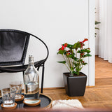 Quadrato Matt - 24 cm sort - plantekrukke med selvvanding