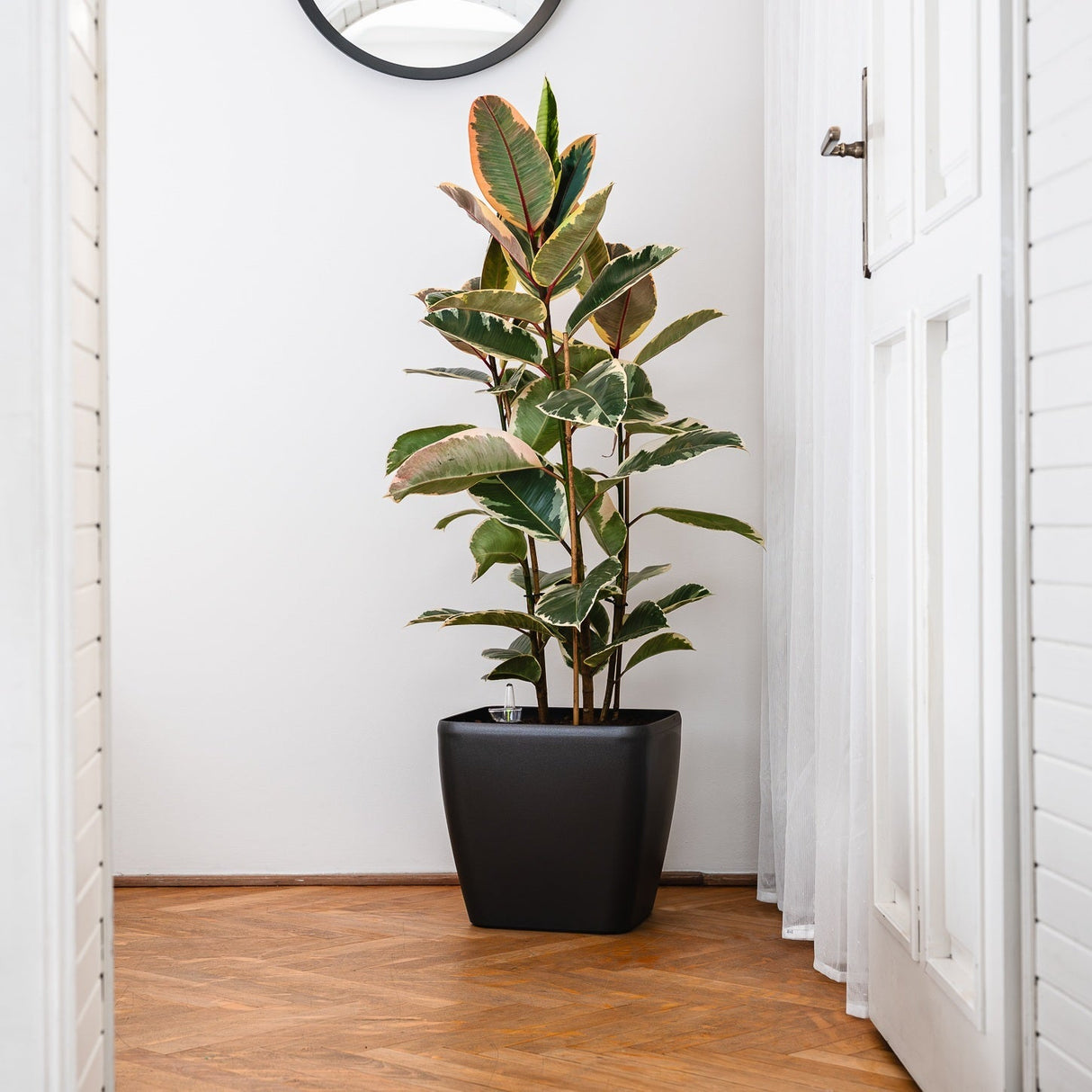 Quadrato Matt - 24 cm sort - plantekrukke med selvvanding