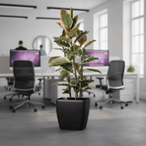Quadrato Matt - 24 cm sort - plantekrukke med selvvanding